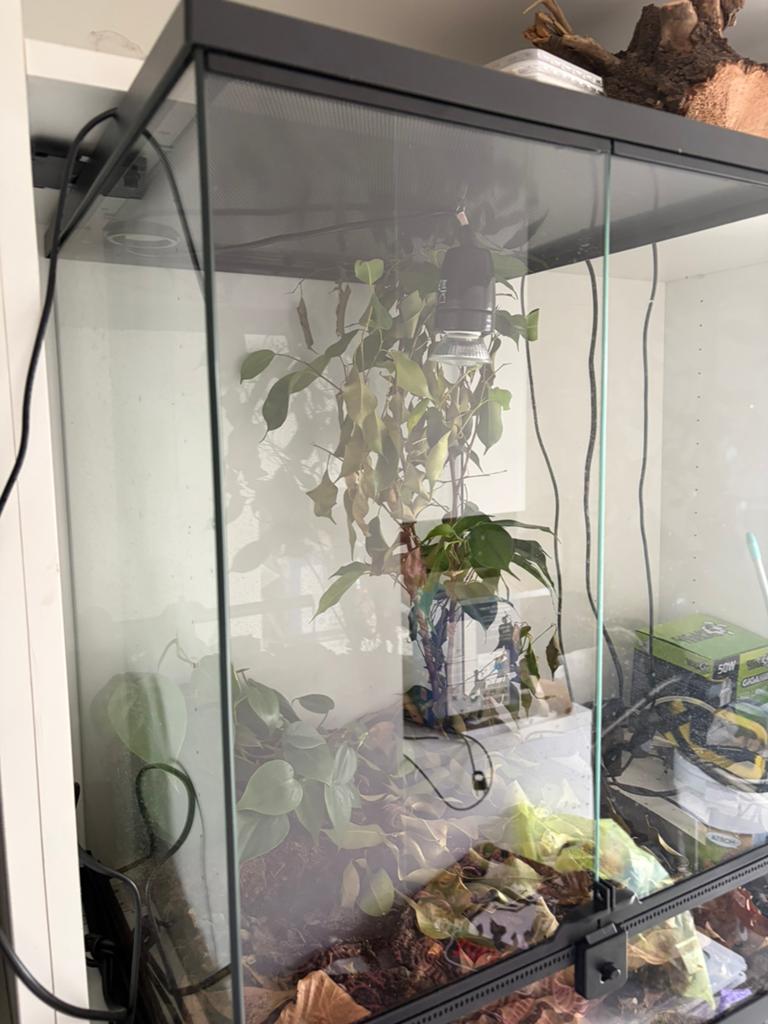 2 x terrarium repto terra, Enlèvement