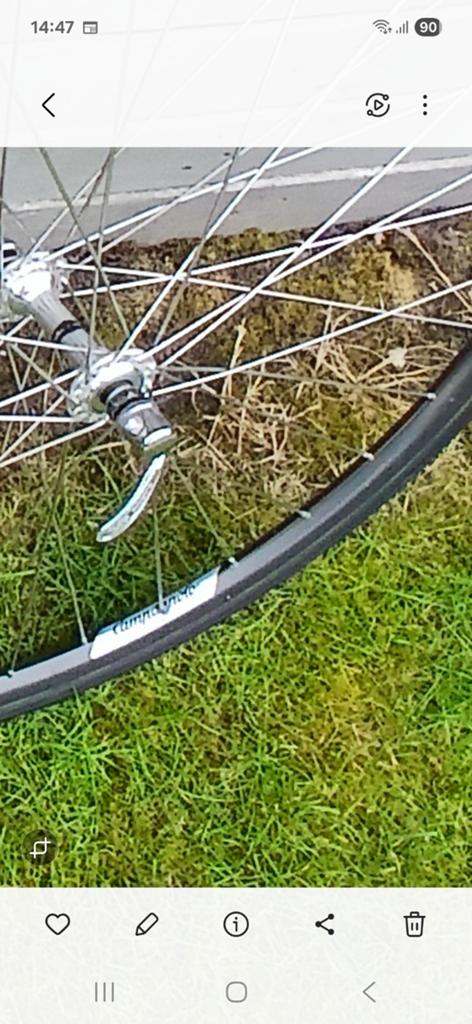 Paire de roues de vélo rétro avec jantes Campagnolo, Vélos & Vélomoteurs, Enlèvement