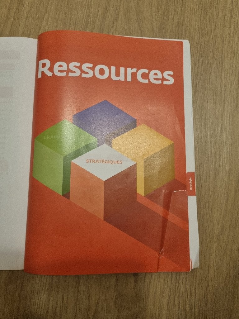 Ressources Néerlandais A1 B2 - Pour mieux communiquer, Enlèvement, Comme neuf, Néerlandais, Editions PELCKMANS