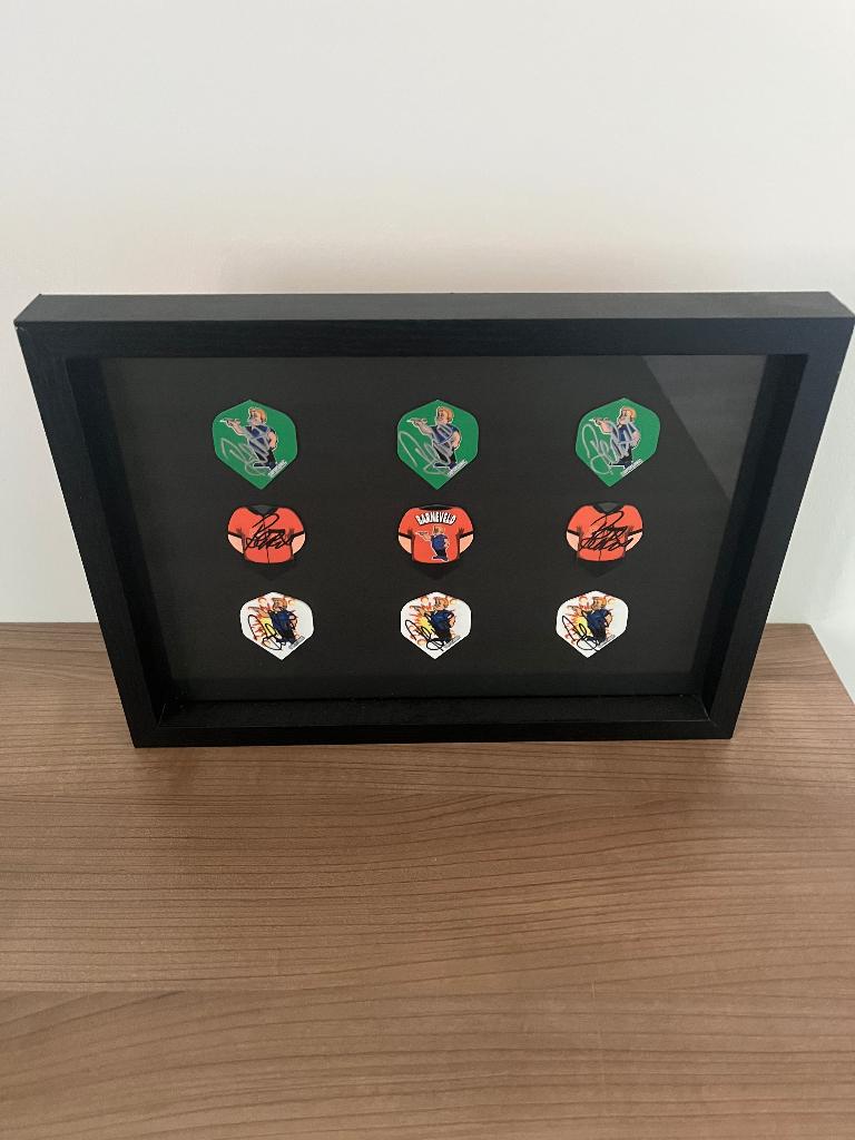 Raymond van Barneveld darts flights, Sport en Fitness, Darts, Ophalen, Nieuw, Flights