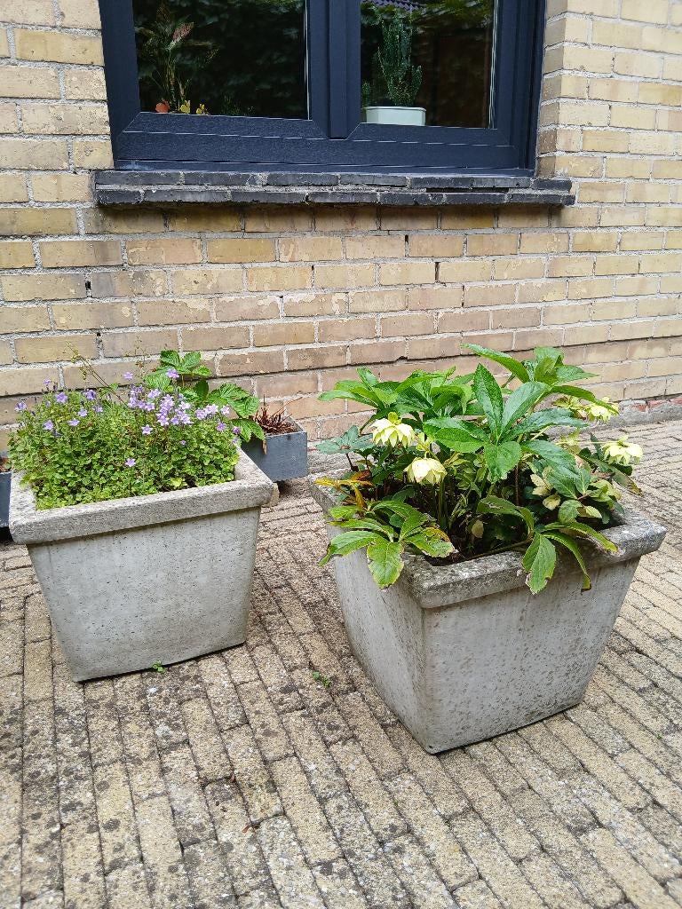 bloembakken,potten, Ophalen, Gebruikt, Minder dan 60 cm, Vierkant