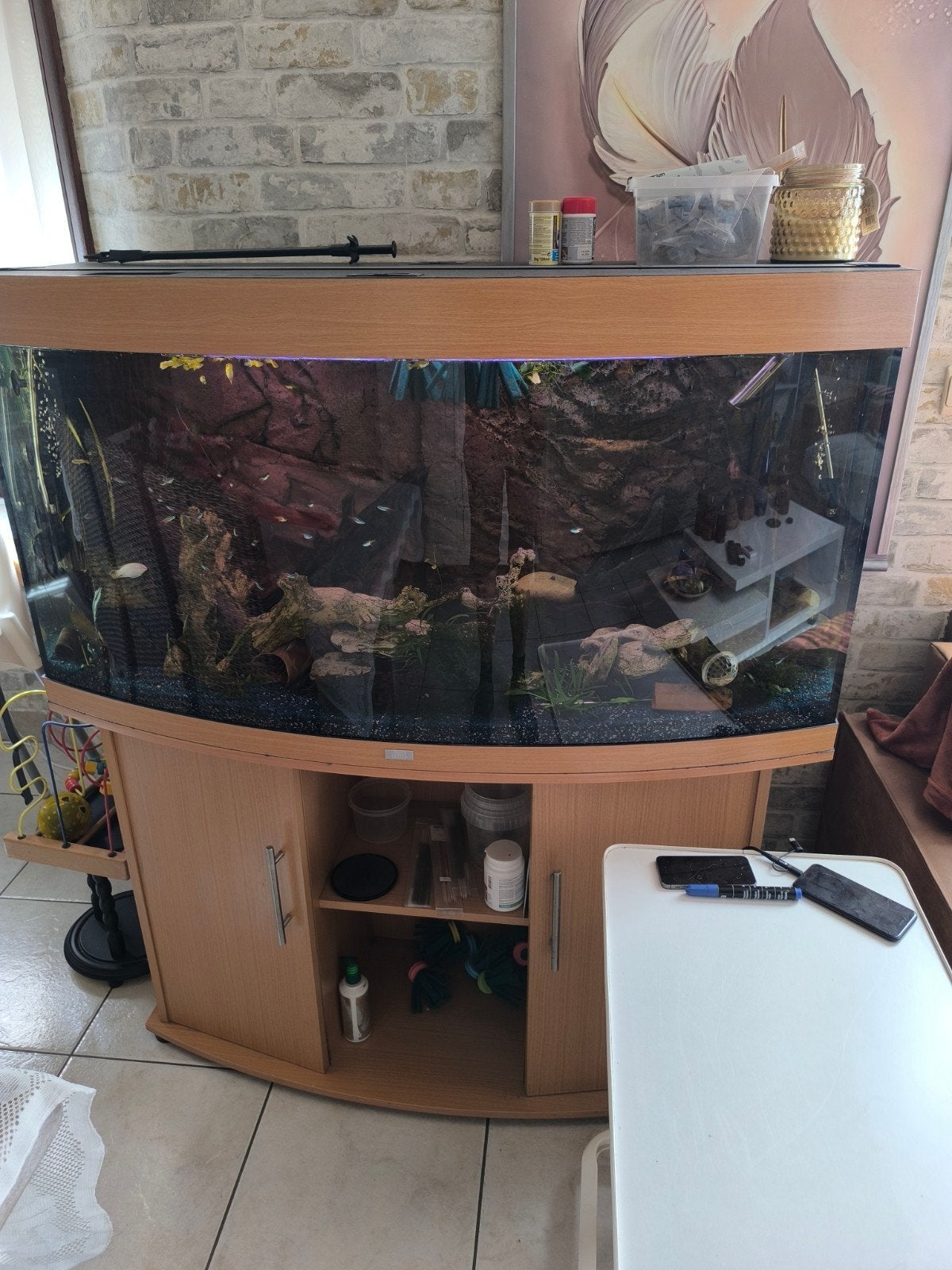 aquarium met vis bestand, Dieren en Toebehoren, Ophalen, Inclusief deksel, Gebruikt, Gevuld zoetwateraquarium