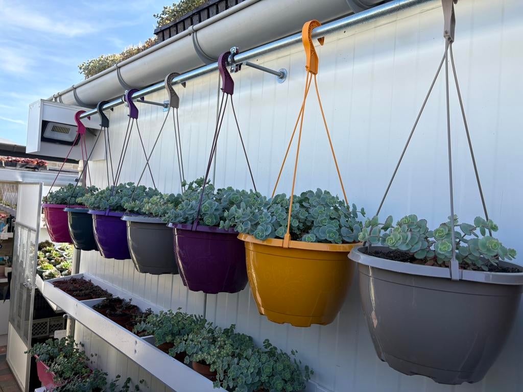 Prachtige Hangpotten, Tuin en Terras, Ophalen