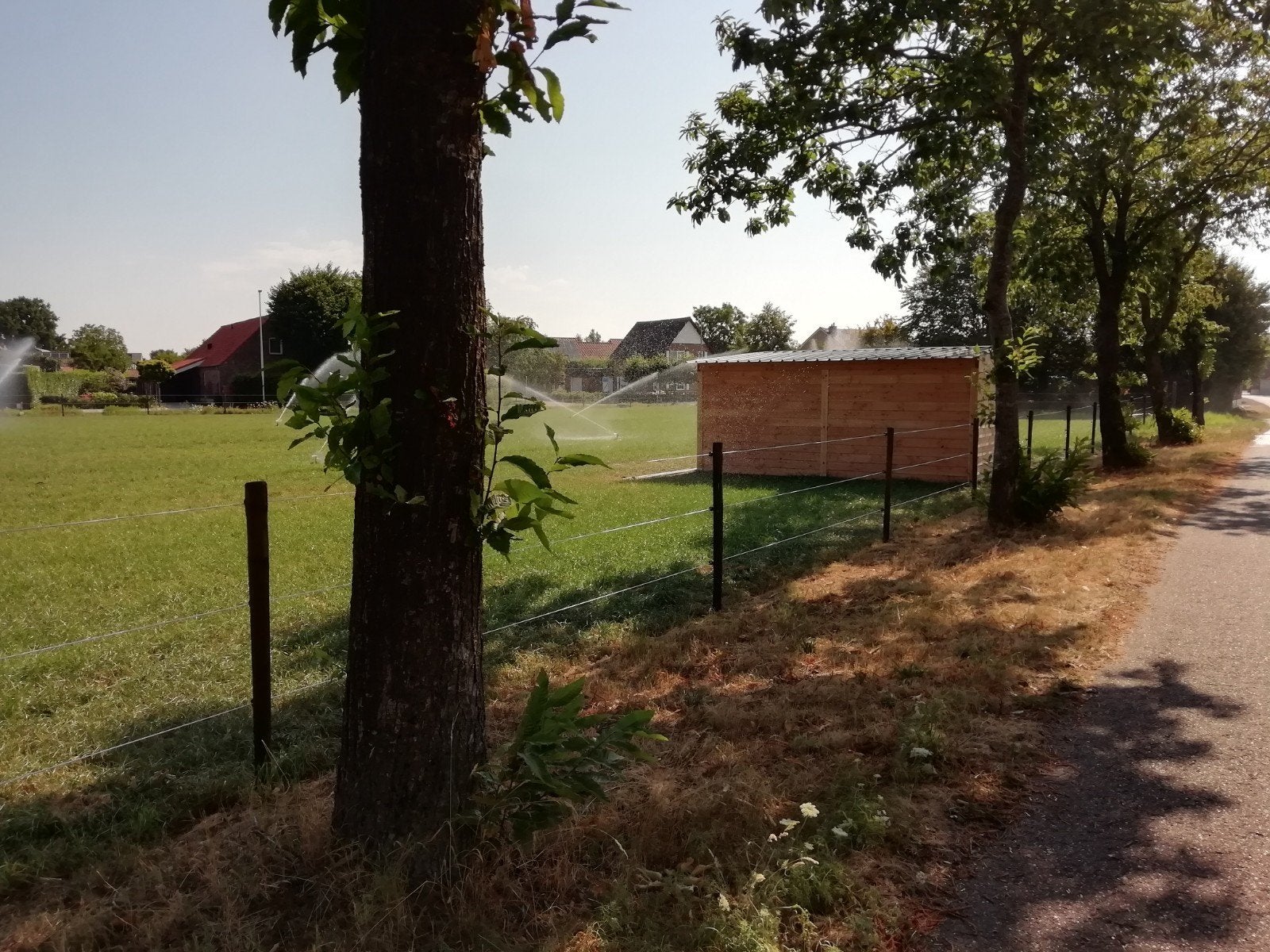 weidegang voor paarden, Weidegang