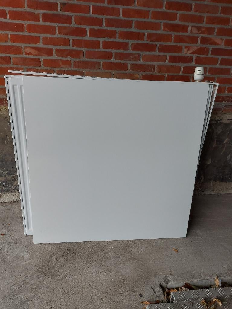 Radson Radiator met beschermplaat/thermostatische kraan, Ophalen, 30 tot 80 cm, Radiator, Zo goed als nieuw