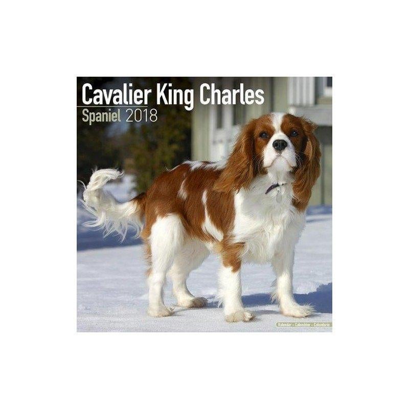 Kalender 2018 van Cavalier King Charles Spaniel, Diversen, Kalenders, Nieuw, Jaarkalender, Ophalen of Verzenden