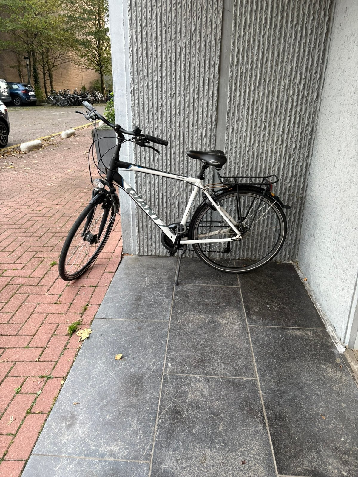 Herenfiets Giant maat L (53), Fietsen en Brommers, Ophalen, Velgrem, Versnellingen, Giant