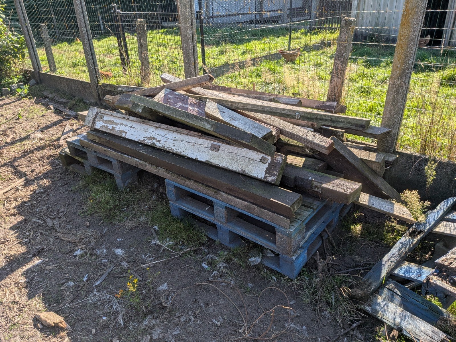 GRATIS brandhout/knutselhout, Tuin en Terras, 6 m³ of meer, Ophalen, Overige houtsoorten, Blokken