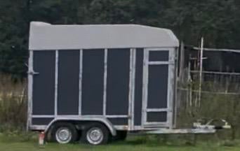 Te koop paardentrailer, Ophalen, Zo goed als nieuw
