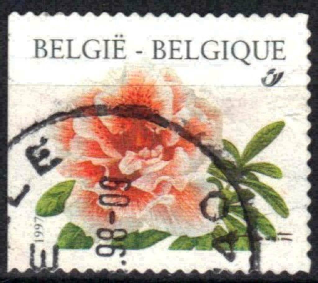 Belgique 1997 - Yvert/OBP 2733 - Fleurs (ST), Envoi, Affranchi, Oblitéré