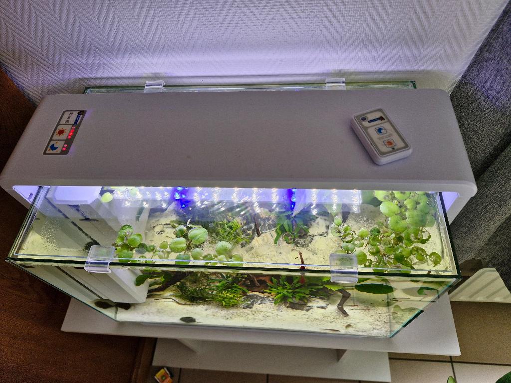 Aquarium 60liter superfish home met kast, Dieren en Toebehoren, Ophalen, Verwarming, Zo goed als nieuw, Superfish