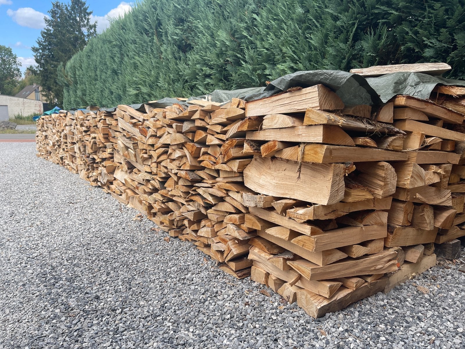 Bois de chauffage chêne/hêtre en 40-45 cm prêt à brûler, Enlèvement, Hêtre