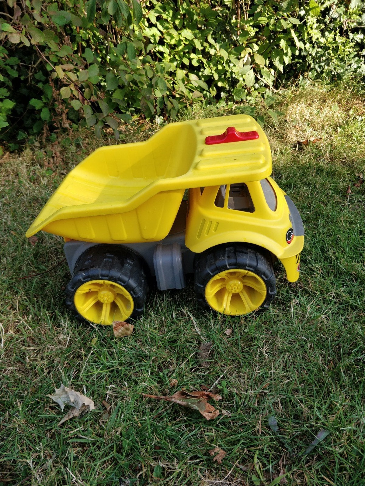 Grand camion pour enfants, Enlèvement