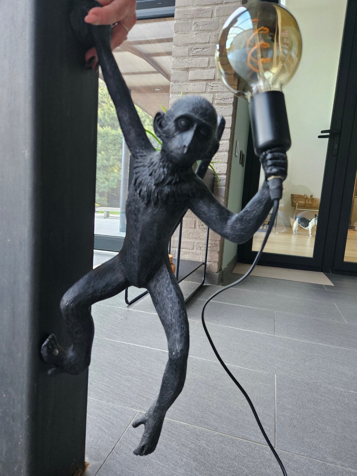 wandlicht aap zwart, Ophalen