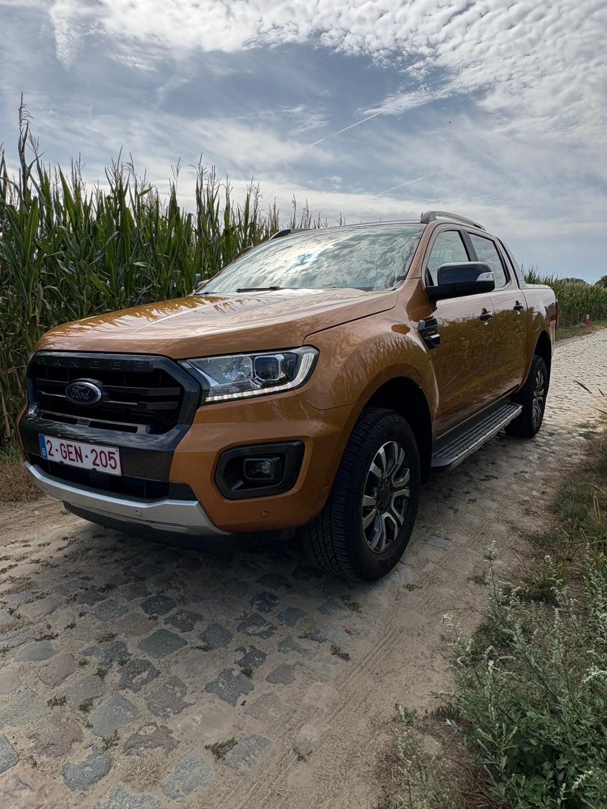 Ford Ranger 2.0 Wildtrack, Auto's, Automaat, Diesel, 156 kW, Particulier