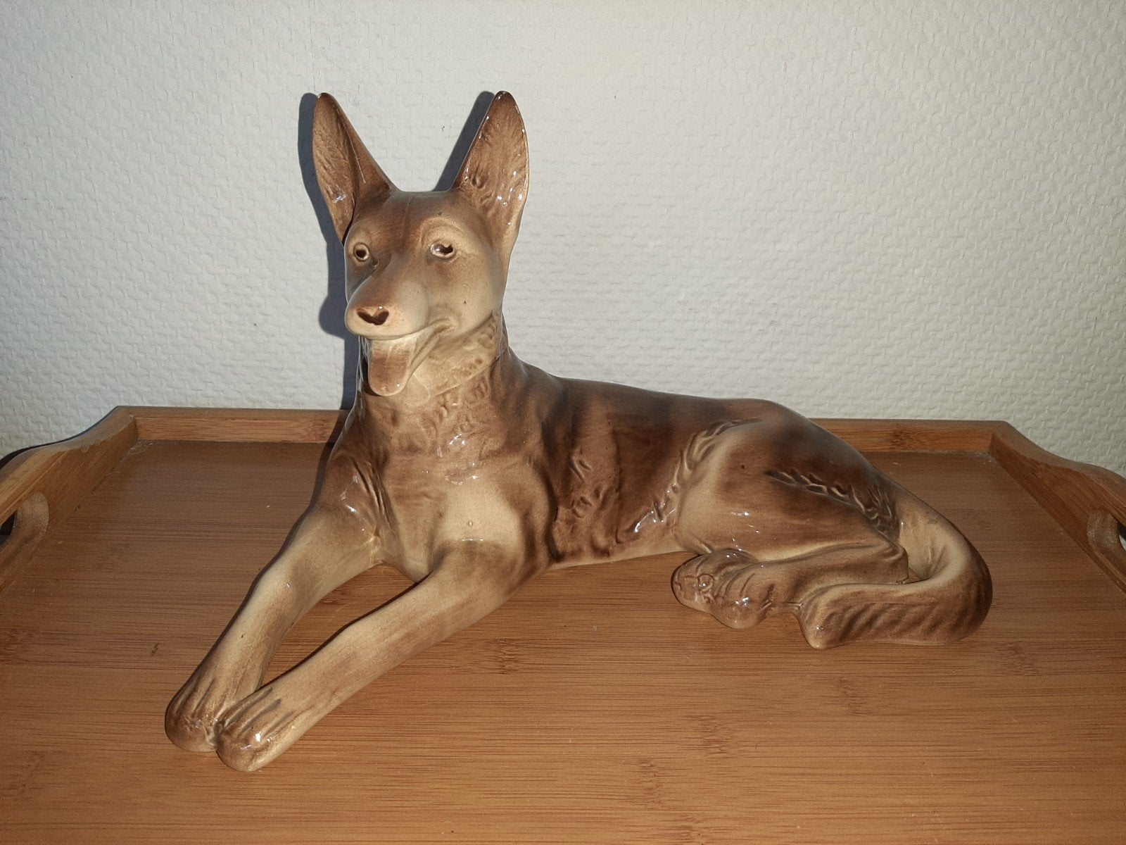 chien, Enlèvement