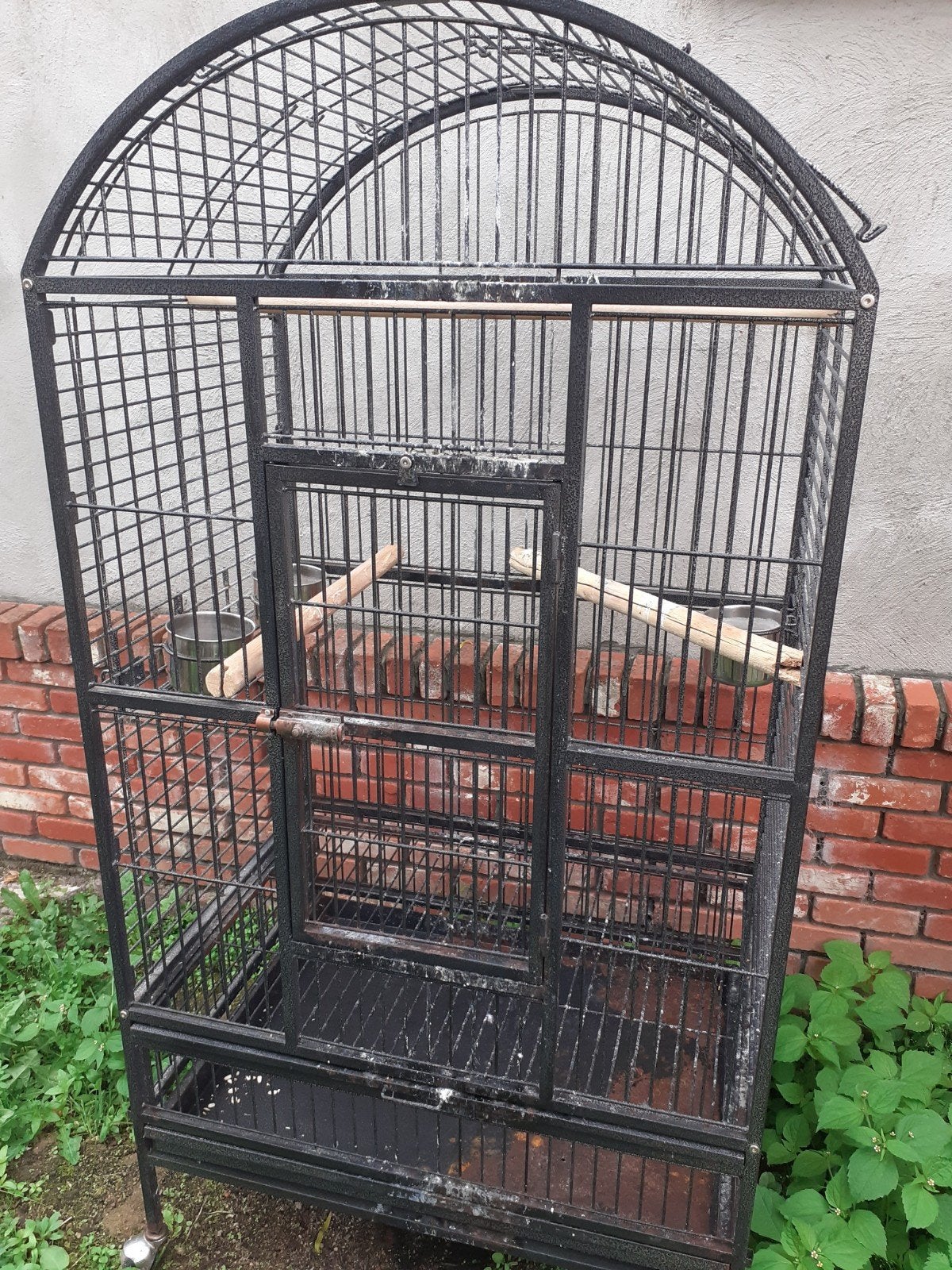 papegaaienkooi, Ophalen