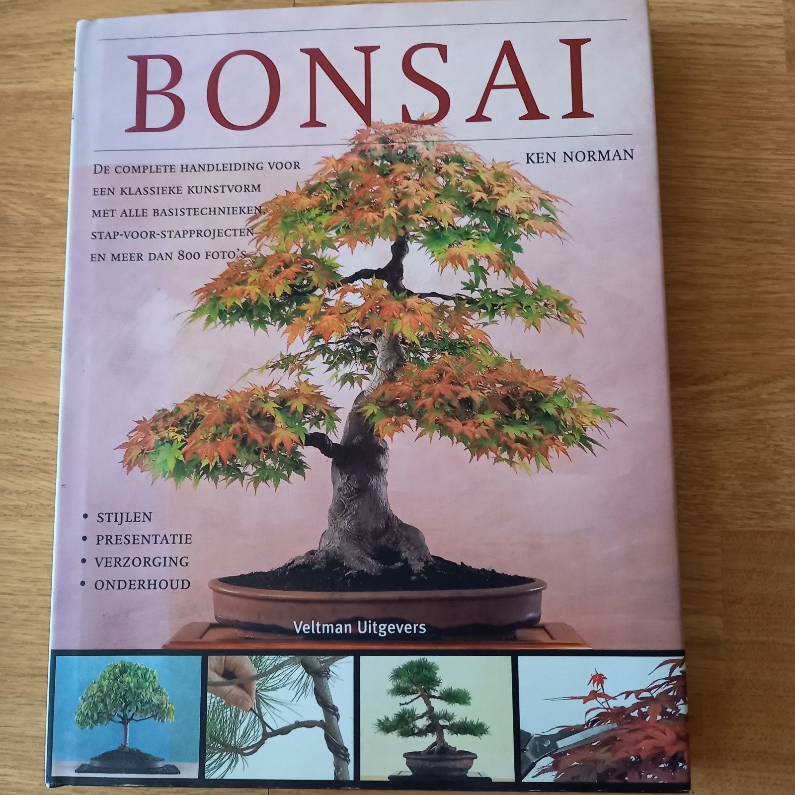 BONSAI > KEN NORMAN, Ophalen of Verzenden, Nieuw, KEN NORMAN, Kamerplanten