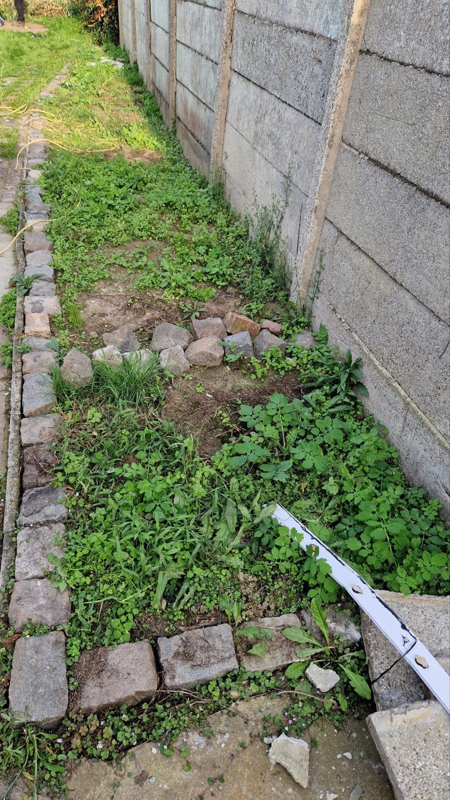 Gratis kasseien +-10m2, Ophalen
