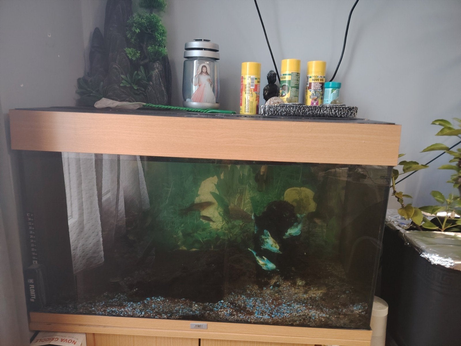Aquarium à donner, Animaux & Accessoires, Meuble d'aquarium, Enlèvement, Utilisé, Accessoires inclus