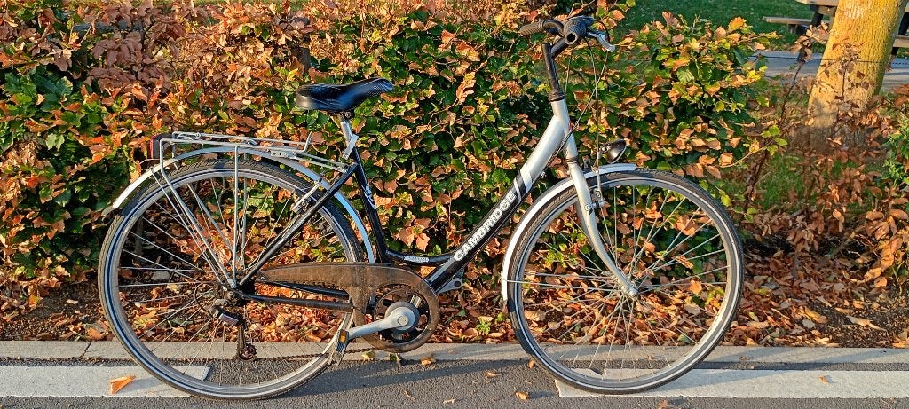 cambridge, Ophalen, Gebruikt, Velgrem, 47 tot 50 cm