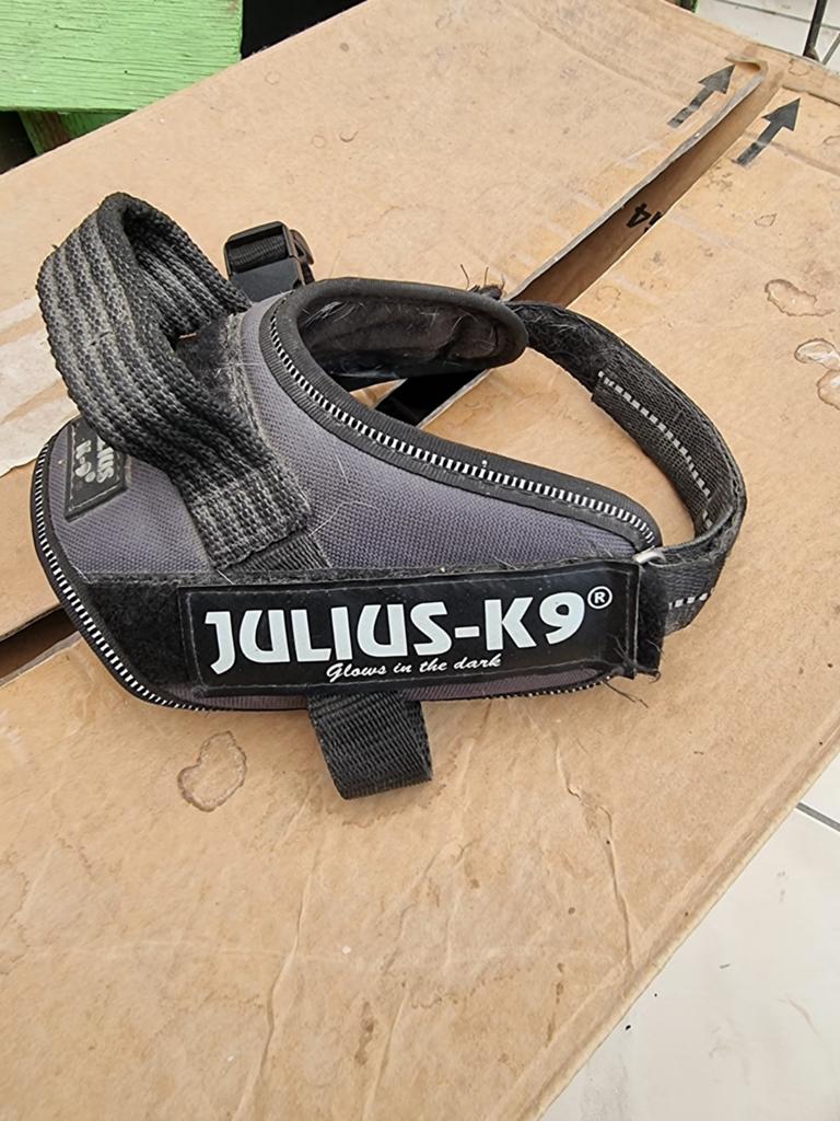 Julius K9 mini-mini., Dieren en Toebehoren, Ophalen, Zo goed als nieuw