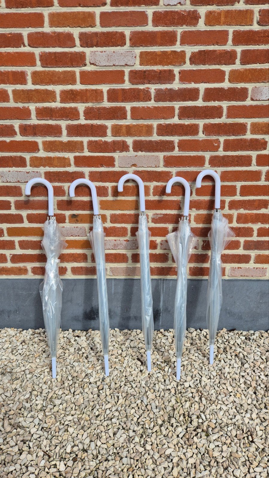 Doorschijnende paraplu's - 5 stuks, Bijoux, Sacs & Beauté, Enlèvement