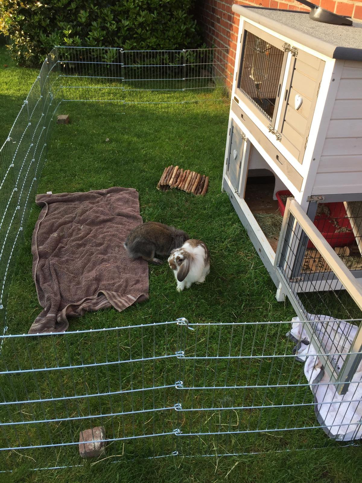 Afsluiting voor konijnen, Tuin en Terras, Ophalen, Gebruikt, Raster