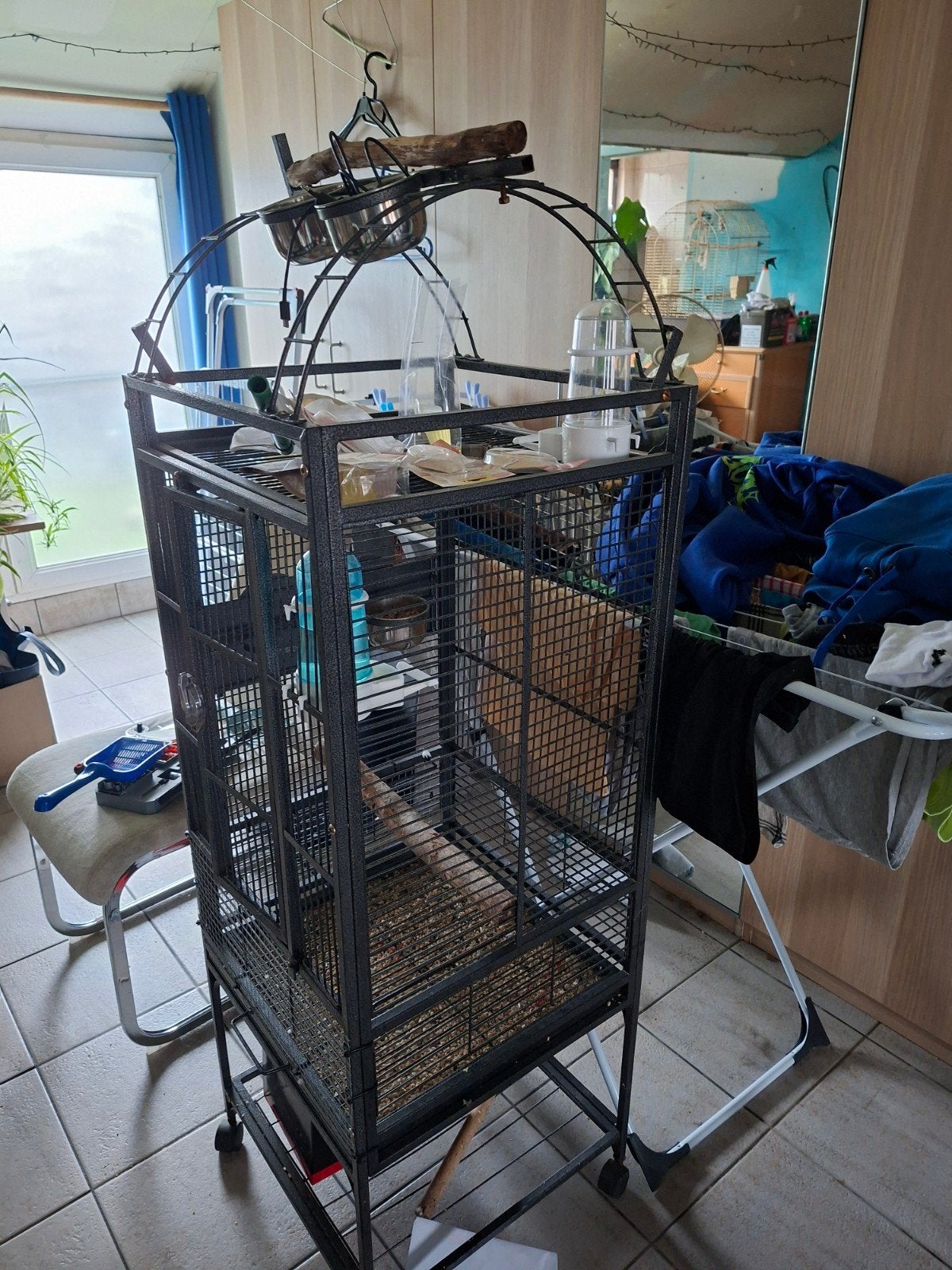 vogel/papegaaienkooi, Doe-het-zelf en Bouw, Metalen, Ophalen