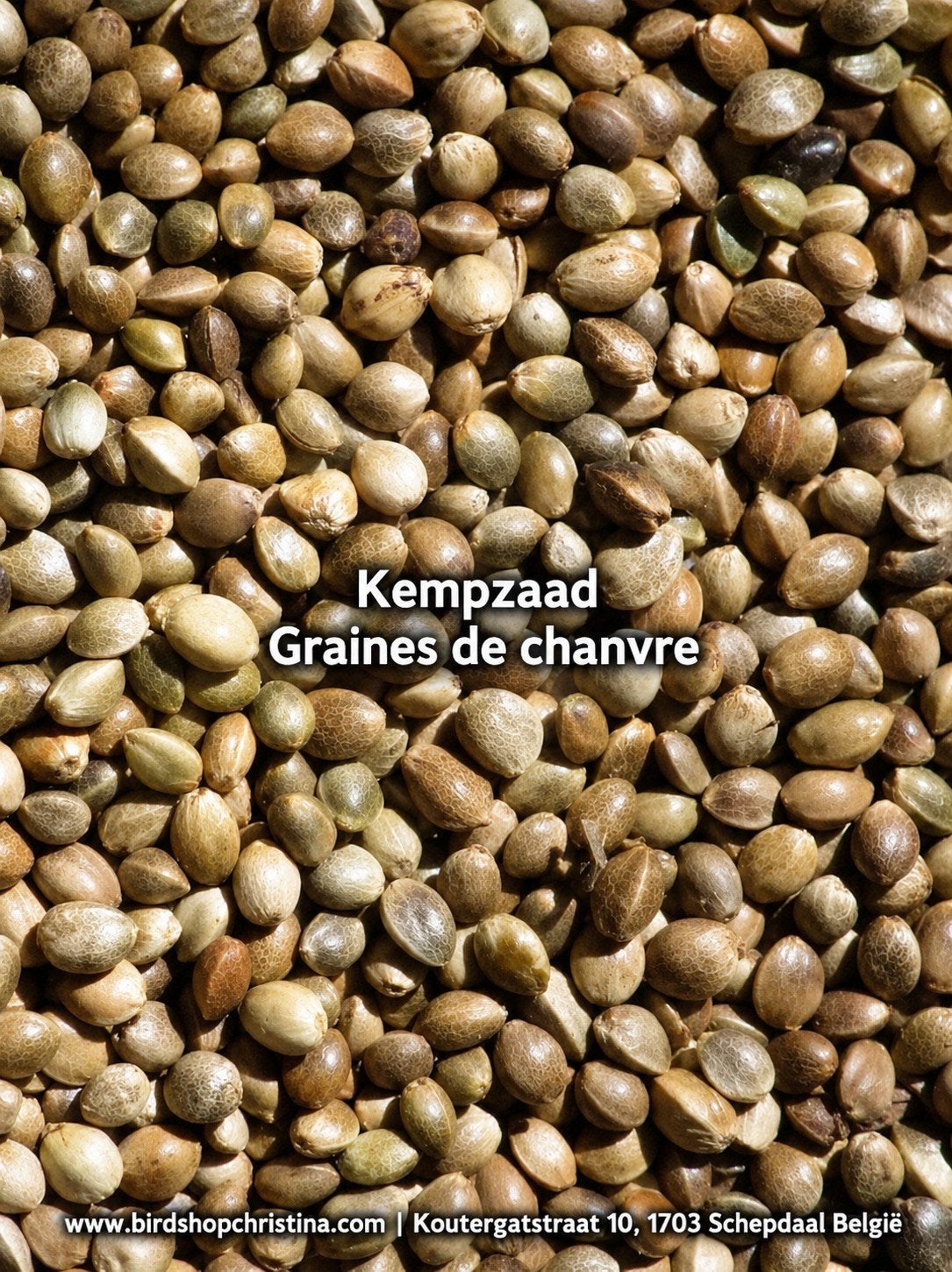 Graines simples (B) - Boutique en ligne - Bird, Animaux & Accessoires, Enlèvement