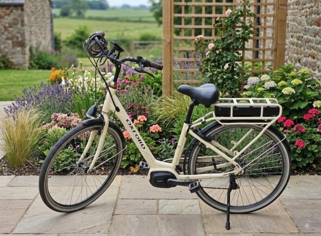 elektrische fiets Oxford, Fietsen en Brommers, Elektrische fietsen, Ophalen