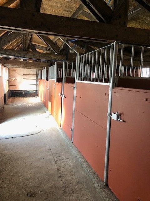 box/ weide /stal Wenduine, Dieren en Toebehoren, Stalling