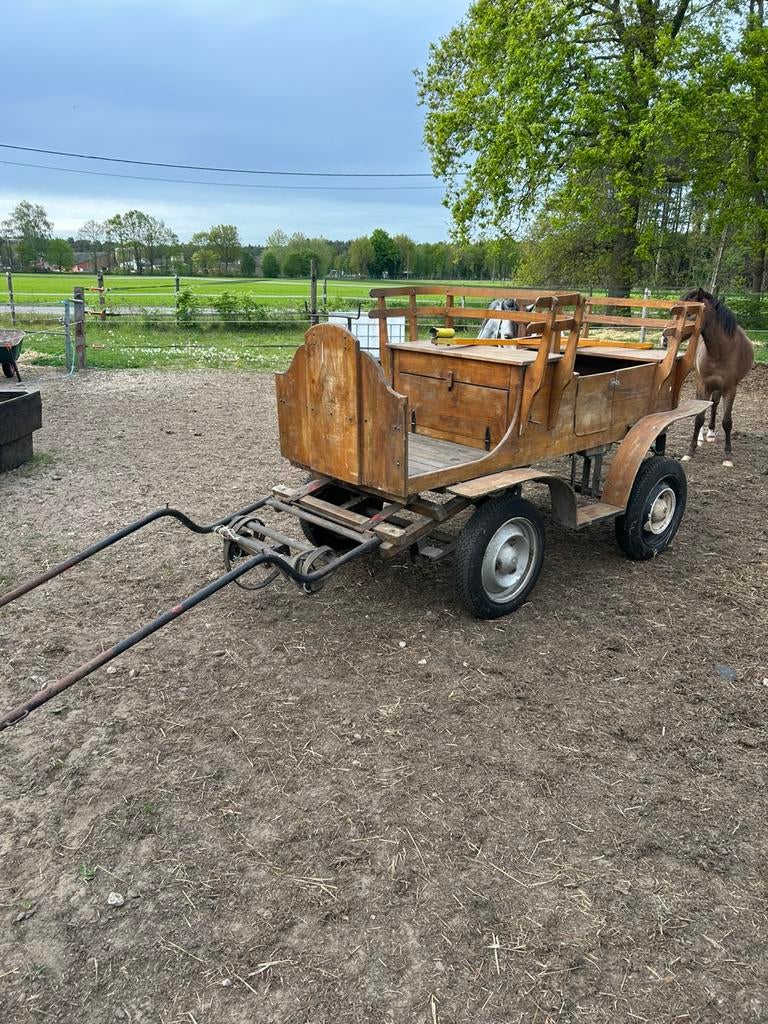 Paardenkoets geremd, Dieren en Toebehoren, Rijtuigen en Koetsen, Zo goed als nieuw, Overige typen, Paard of Pony