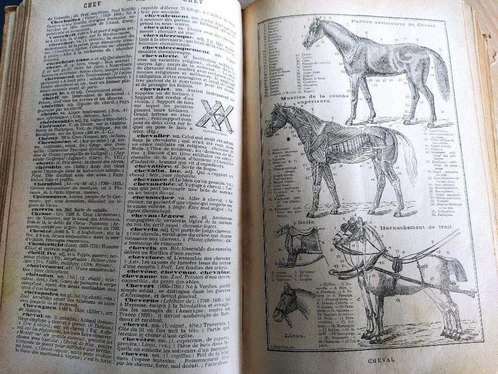 vintage Petit Larousse(1959)+nouveau dictionnaire(1896)illus, Antiek en Kunst, Ophalen of Verzenden