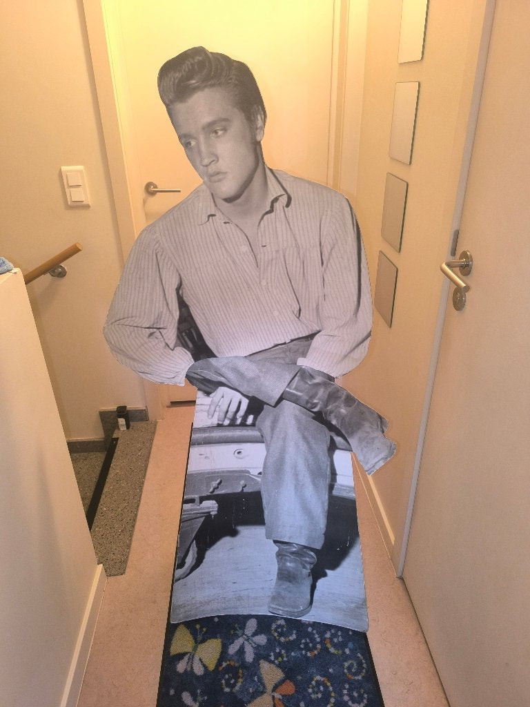 Levensgrote POS van Elvis Presley, Ophalen, Gebruikt