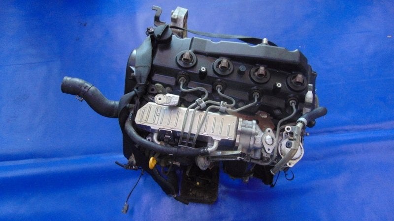 Moteur 2KDFTV Nu HILUX TOYOTA, Autos : Pièces & Accessoires, Moteurs & Accessoires, Alfa Romeo, Pièces américaines, Audi, BMW