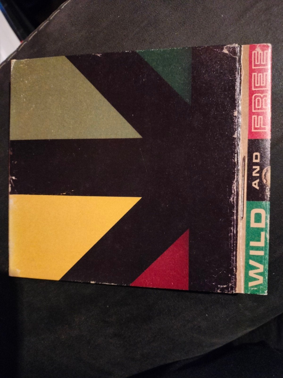 Ziggy Marley - Wild and Free, CD & DVD, CD | Reggae & Ska, Enlèvement ou Envoi, Utilisé