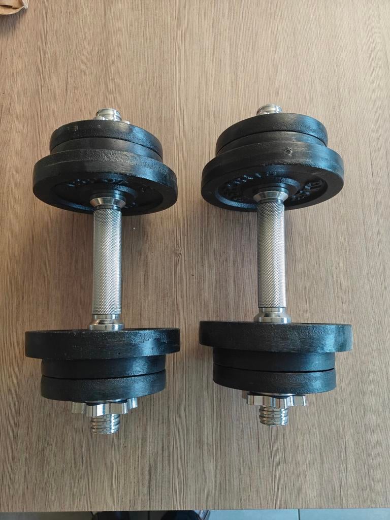 Gietijzeren halterset (2 x 12 kg , totaal 24 kg), Ophalen, Halterschijven
