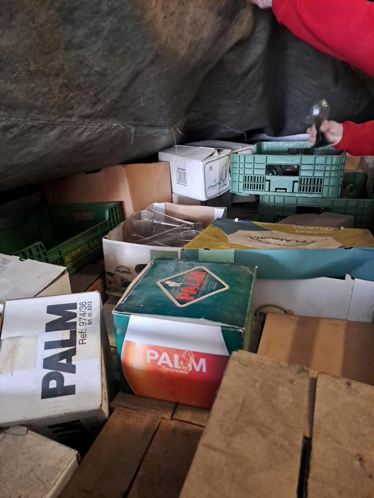 Alle soorten glazen: bier palm tuborg palm....., Enlèvement