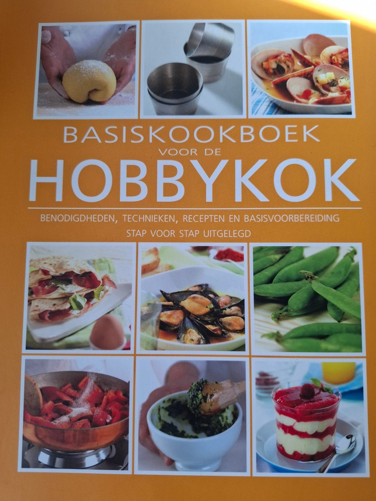 Basiskookboek voor de hobbykok, Livres, Livres de cuisine, Neuf, Anja Lombaert en Sabine Van Humbeeck, Enlèvement, Autres types