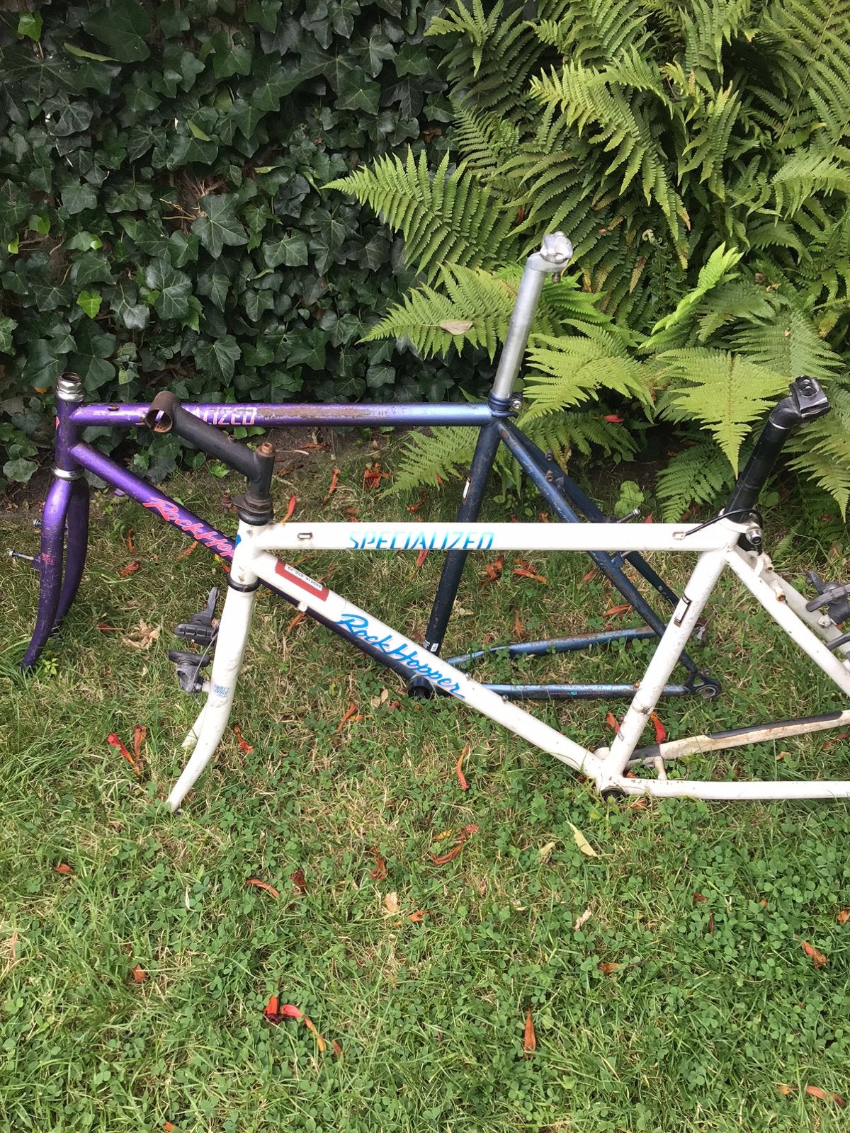 Specialized rockhopper frames, Ophalen, Gebruikt, Frame