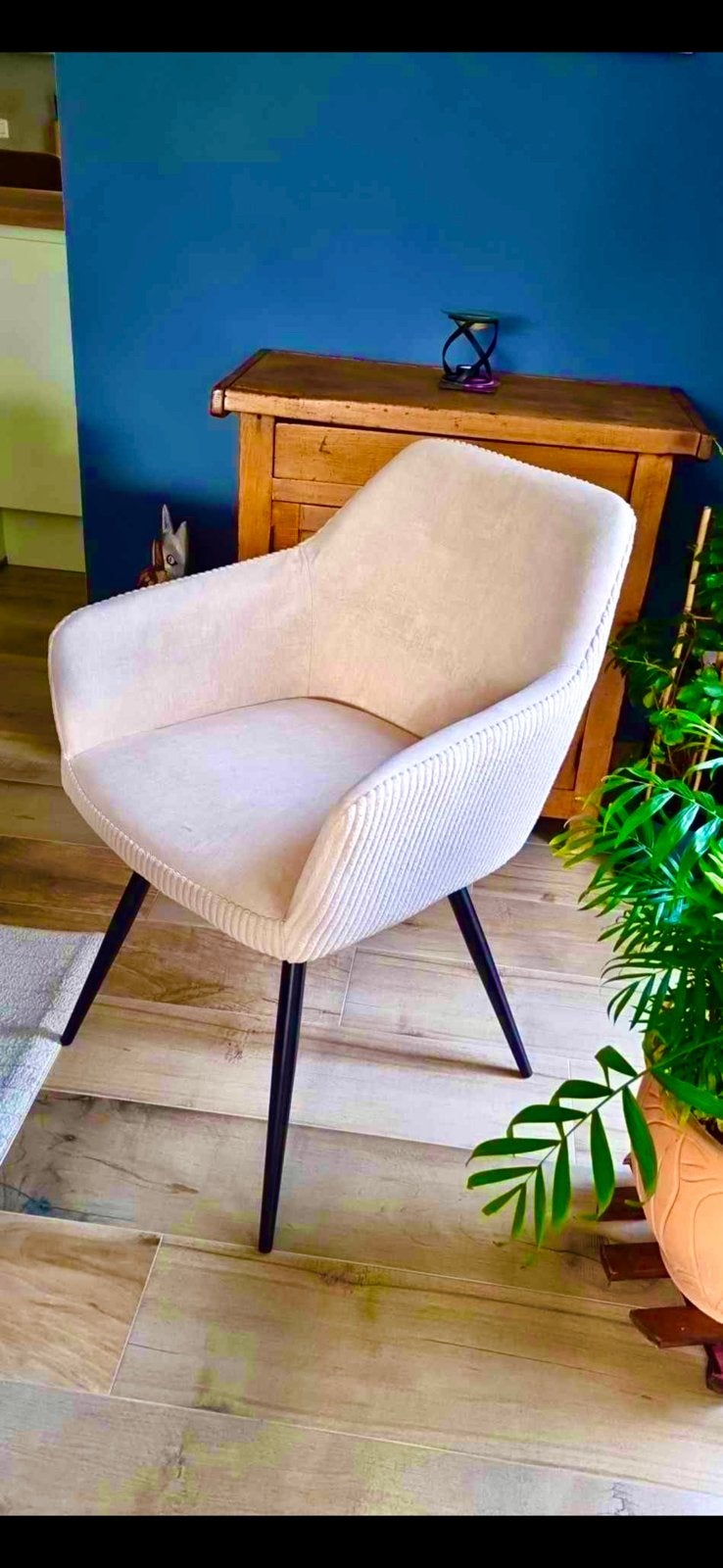 Chaise velours neuf, Enlèvement, Neuf