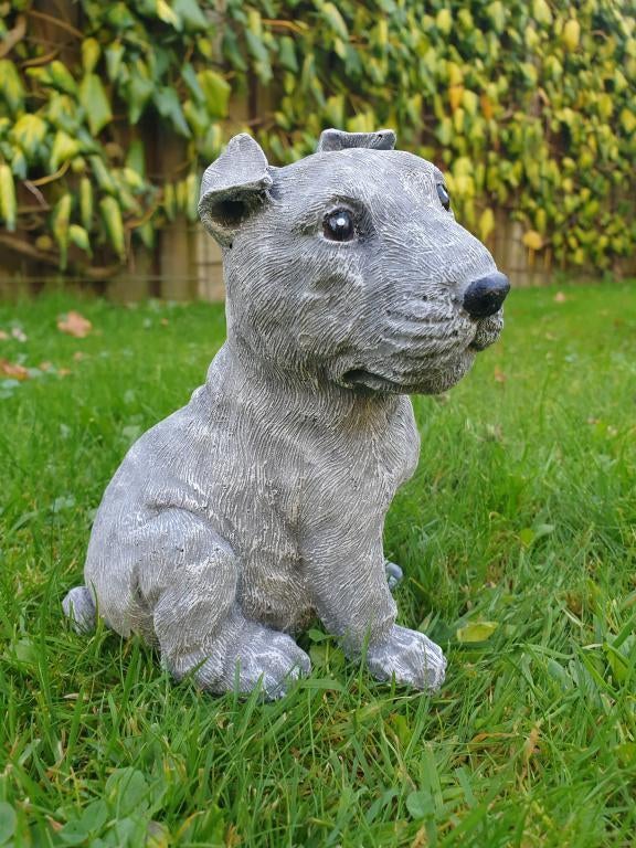 Staffordshire Bull Terrier , pitbull typ, Ophalen of Verzenden, Nieuw