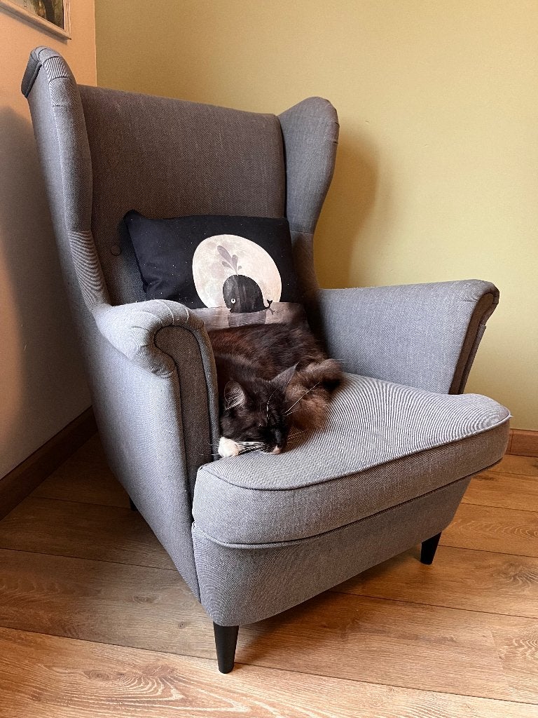 IKEA STRANDMON FAUTEUIL, Huis en Inrichting, Fauteuils, Ophalen, Gebruikt, 75 tot 100 cm, 75 tot 100 cm