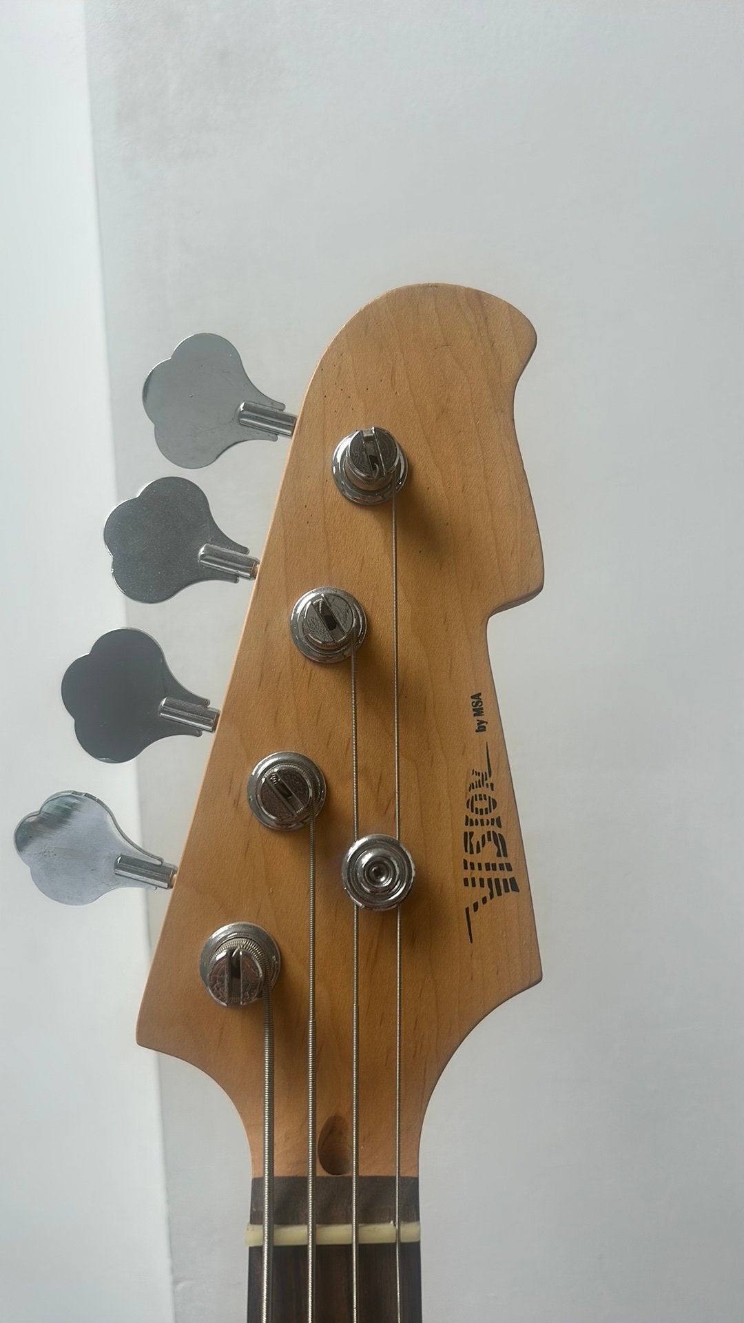 Basse Vision, Musique & Instruments, Enlèvement, Utilisé, Guitare basse