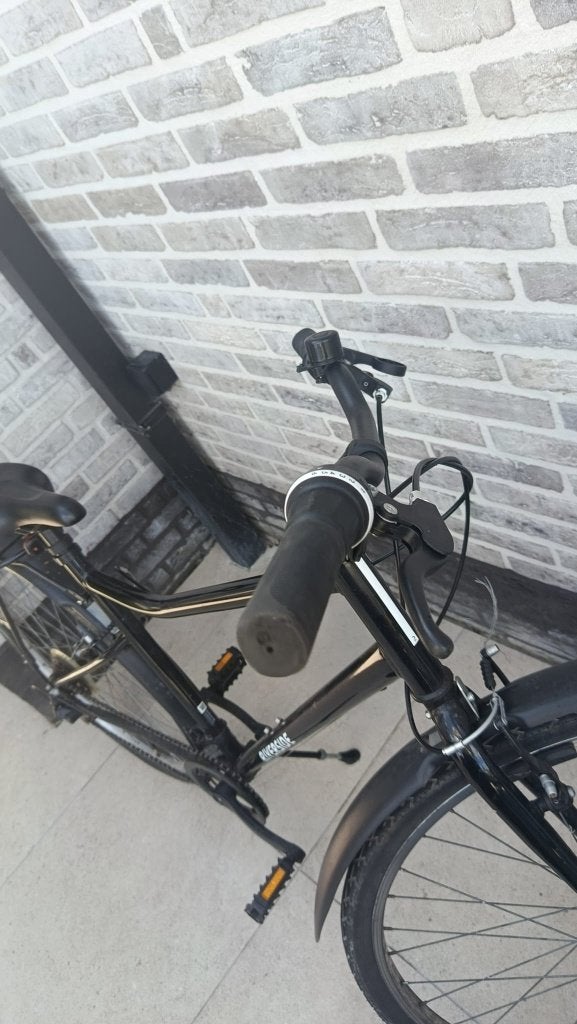 Fiets riverside, Fietsen en Brommers, Ophalen, Gebruikt, 20 inch of meer