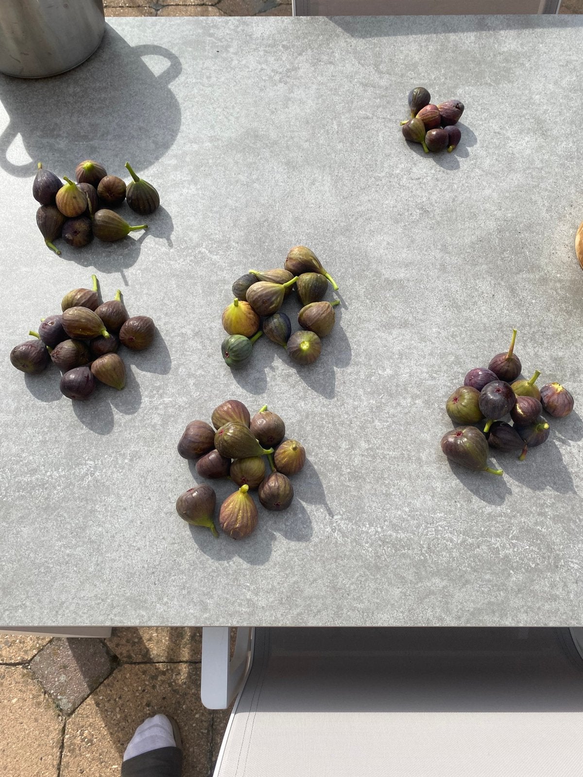 Bio vijgen te koop, Tuin en Terras, Ophalen