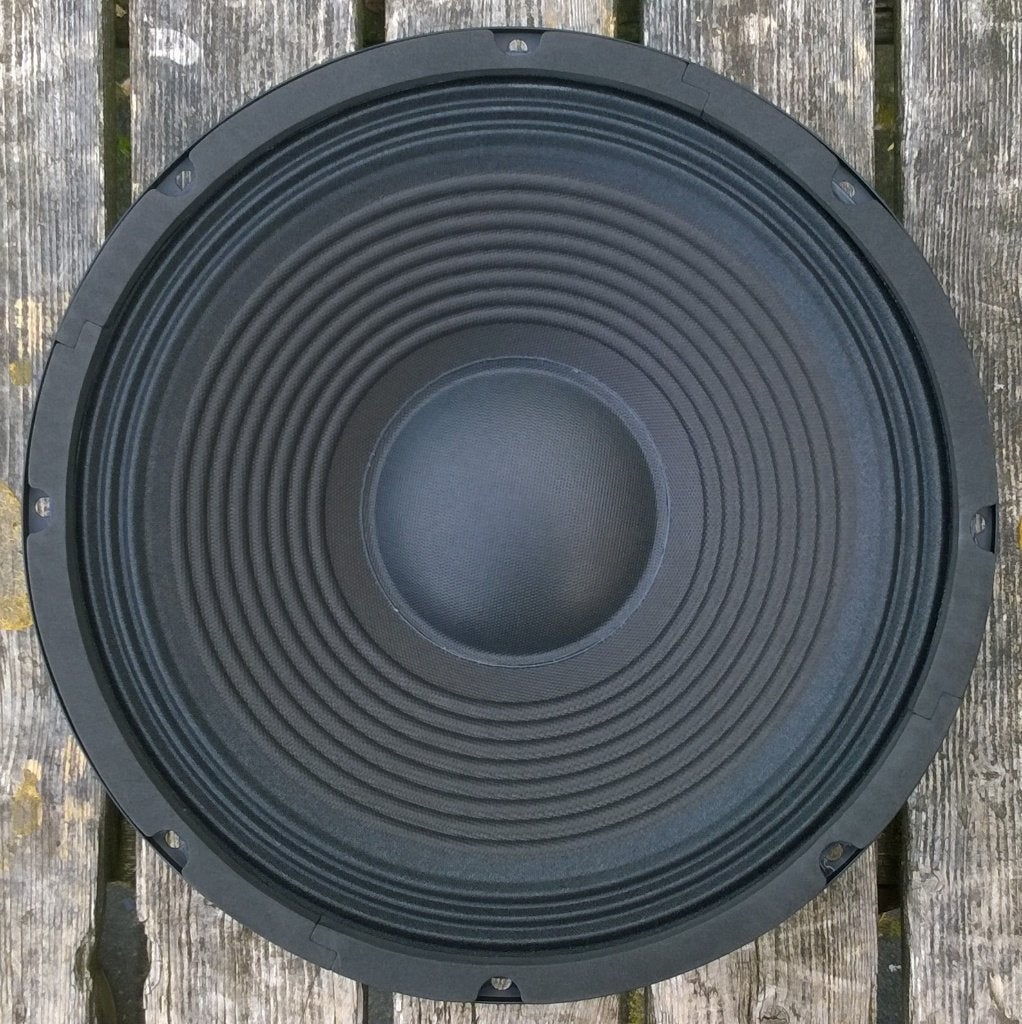 Woofer 12 inch 150 - 300 Watt, SP1200, Overige typen, Nieuw, Ophalen of Verzenden, 150 watt of meer