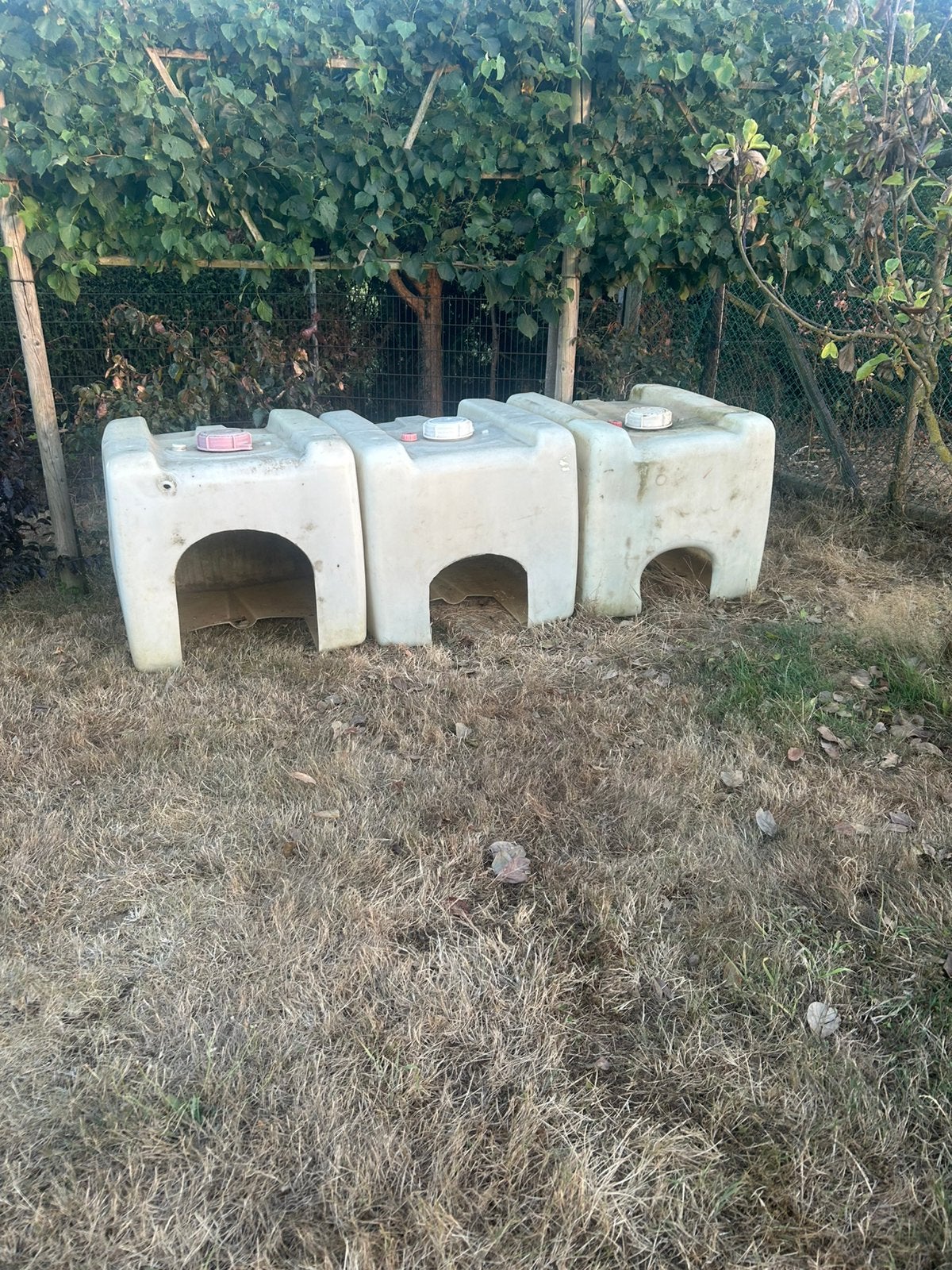 Schuilhok dieren/ pluimvee/ kippen, Dieren en Toebehoren