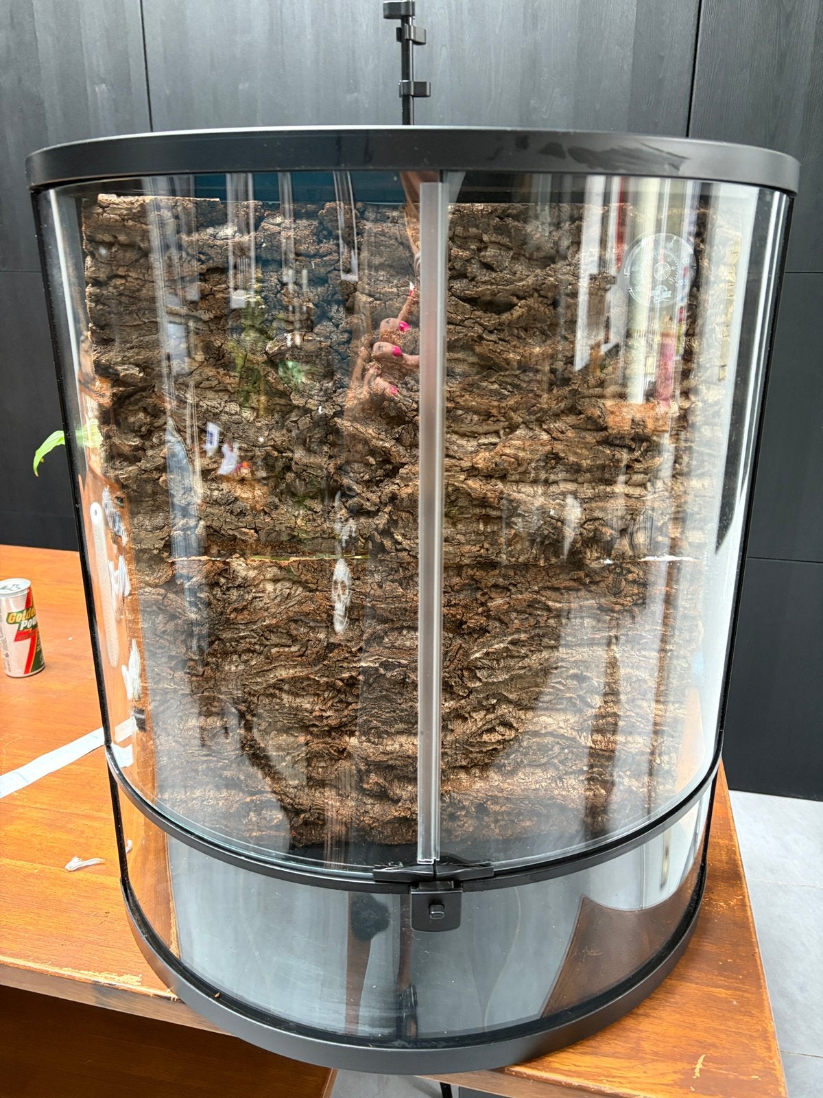 Terrarium half moon, Ophalen, Zo goed als nieuw